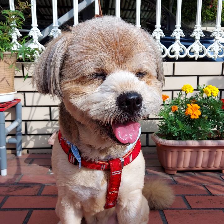 1327dcae c8fa 4221 8b4c bed2847684eb 1624319271442