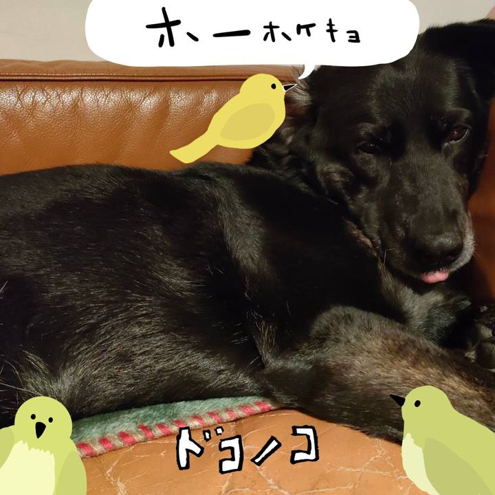 1327fe02 e4a2 486d aa33 789784076c8a 1711235200454