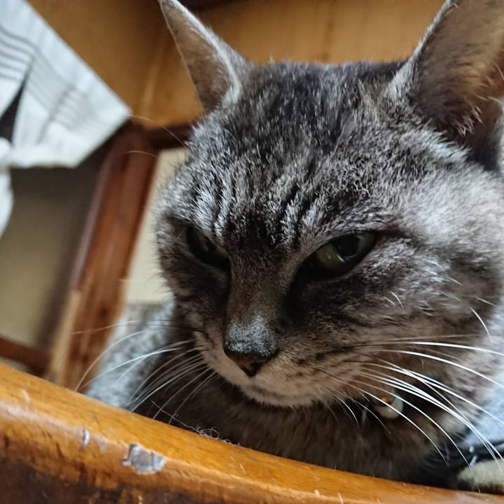 13280cdd 061b 4777 901a 17c1f646f05c 1553596030016