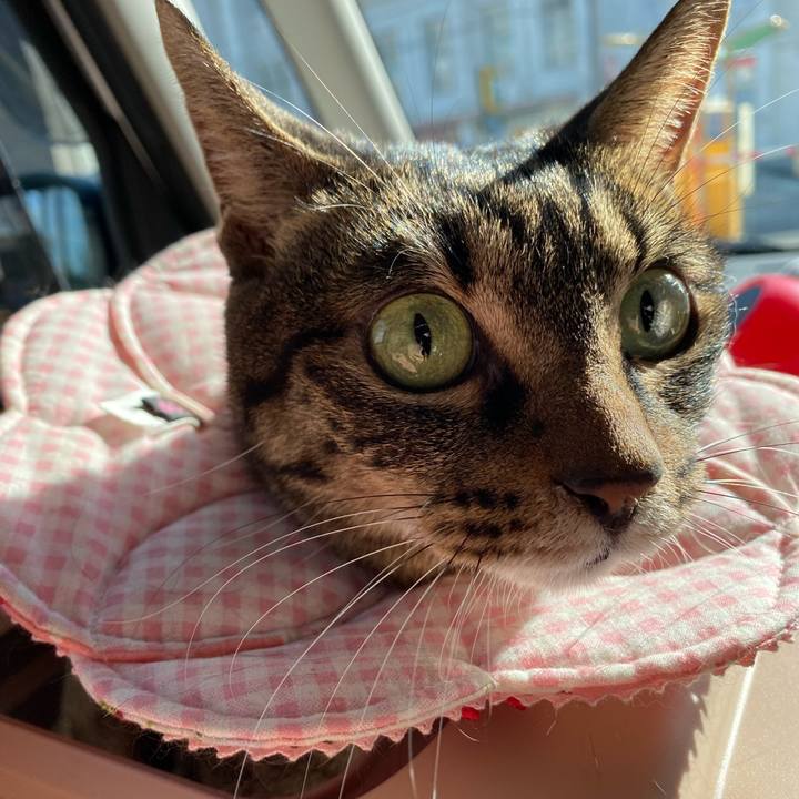 132810b1 c724 4be3 93bd 87d0d418aba2 1638666553353