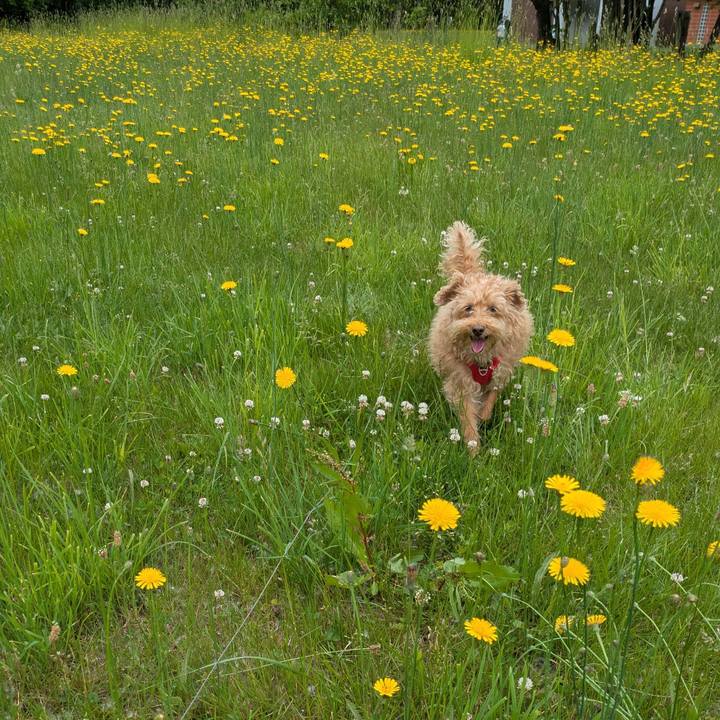 13281267 cacd 47b4 9e1e cc438ef8b9ea 1750114765883