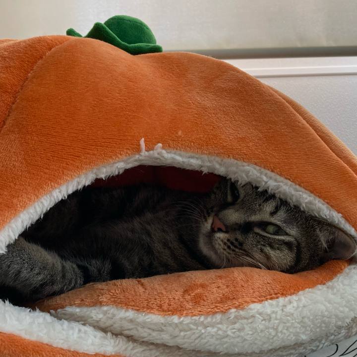 13283c97 cd81 4b89 8d26 9d20181767fe 1632814874103