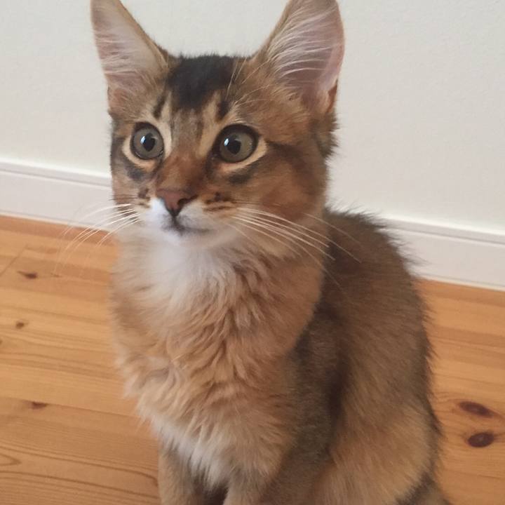 13283df4 bbea 4c35 a565 7527dac9c435 1566708495816