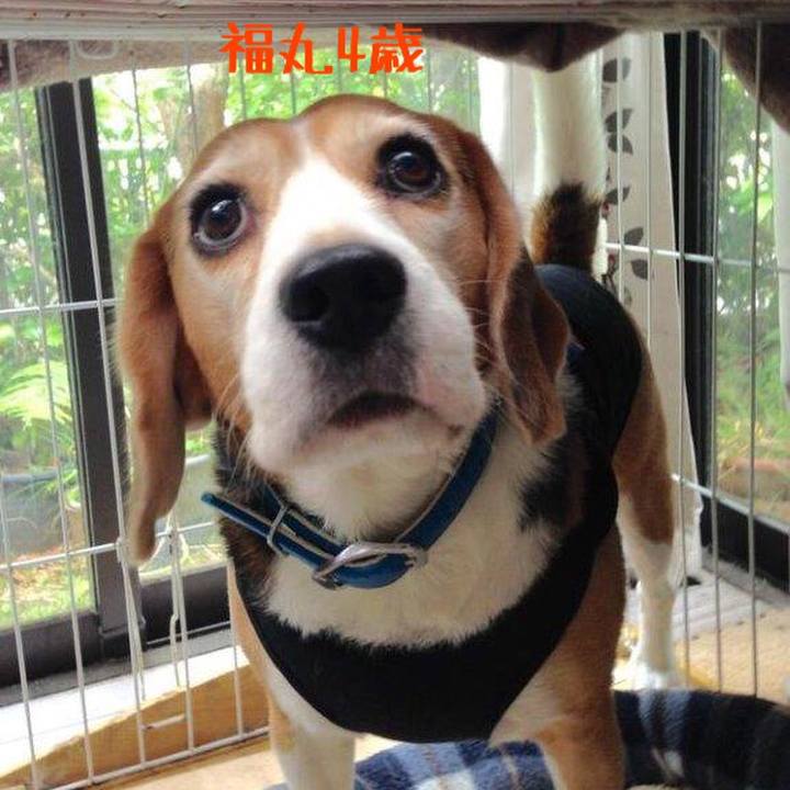 13284a17 14ce 4c1a 8ceb a1300b932669 1509519900811