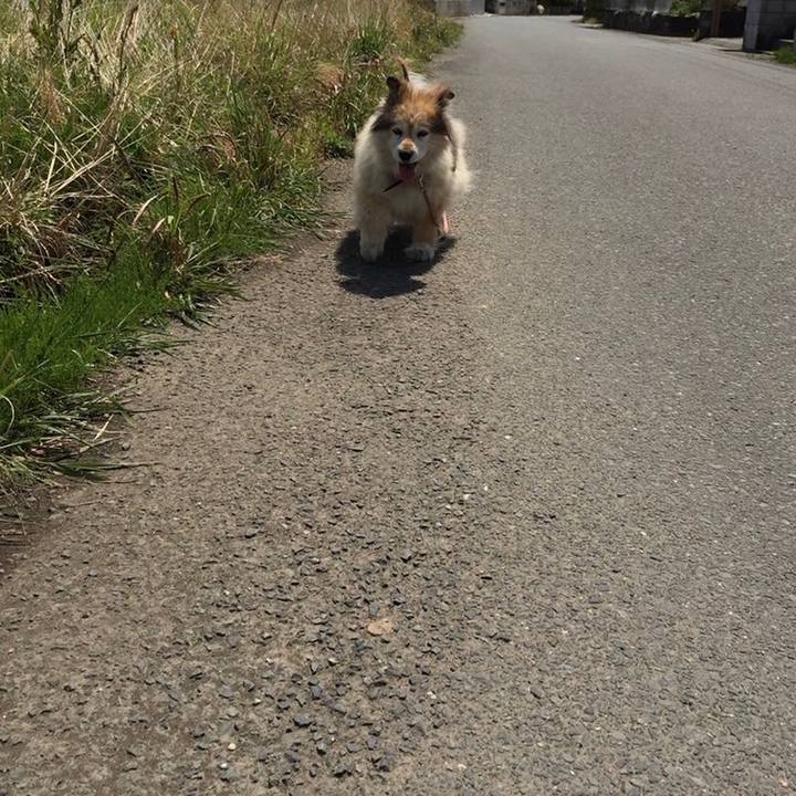 13286435 687d 454d a9b6 9a7aec412e49 1635899665708