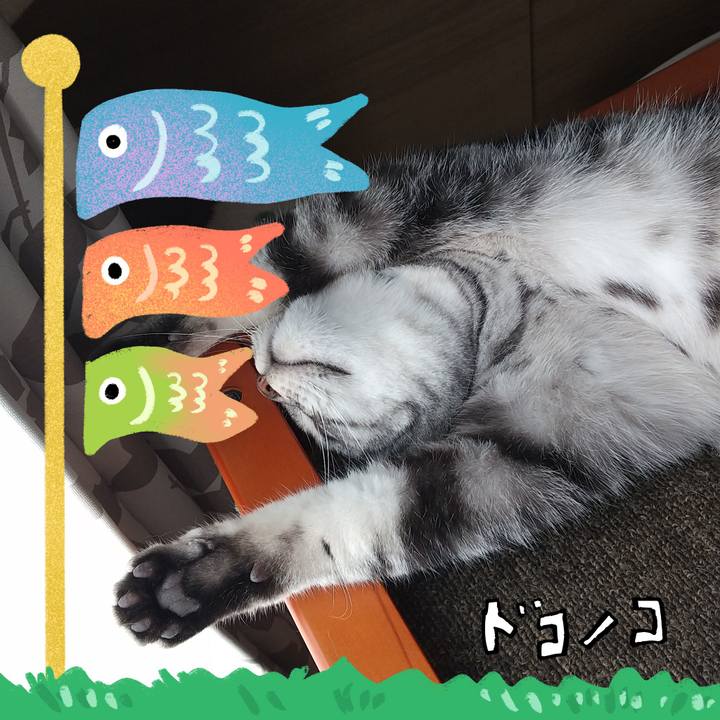 13288c3a 1737 4398 bebe 1b3644d09d57 1714951472015