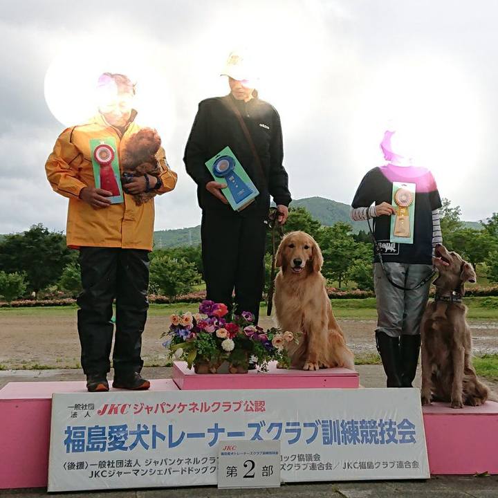 13289866 10db 400c a6d6 1d1b9aed8edf 1560673351085