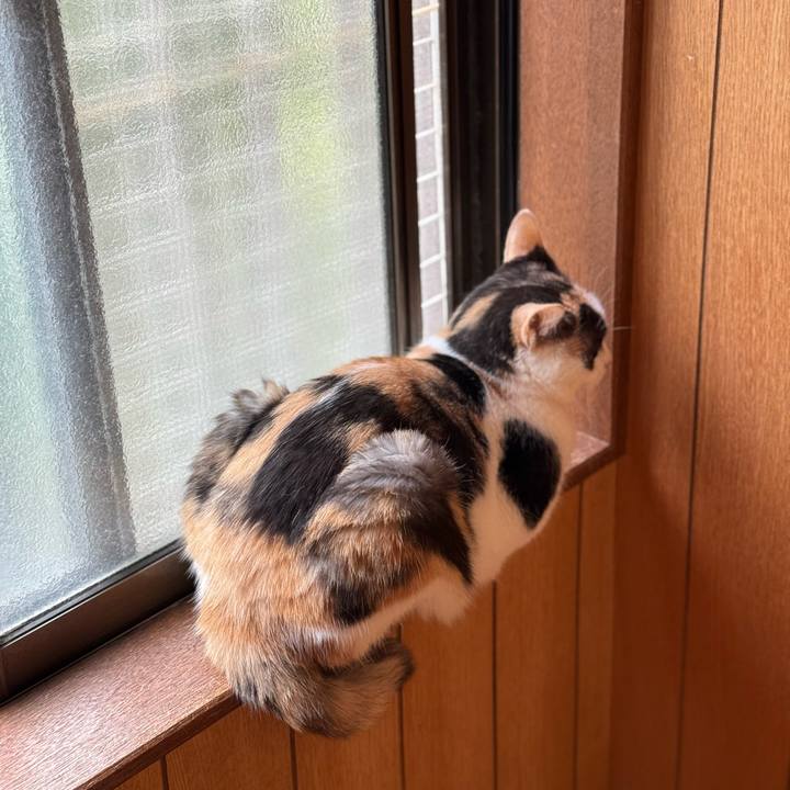 1328a540 9f95 4e72 859b 19d15b02a514 1758417691791