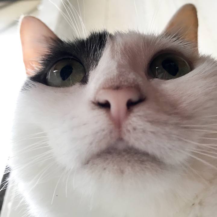 1328b90c a0e4 4f06 a335 9bc28427d37e 1530582003733