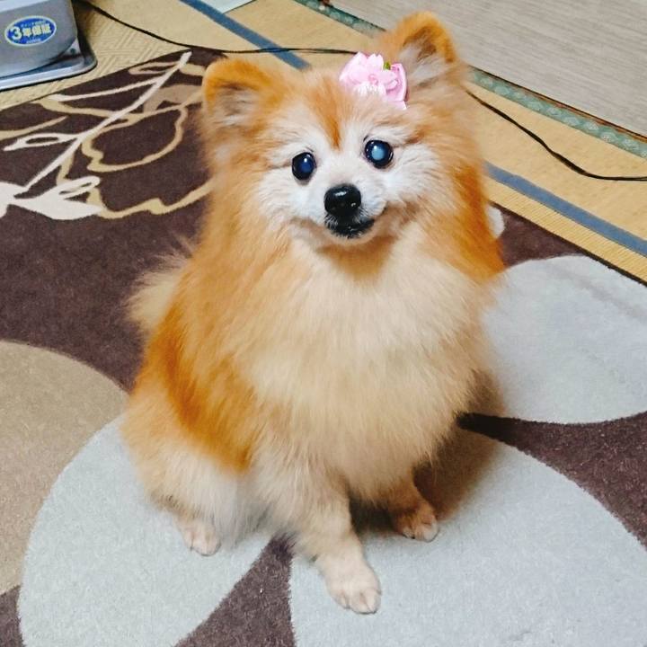 1329669d 296e 41be 8fcf b990600562af 1582618091807