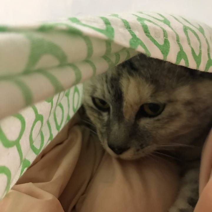 132975a1 b0f6 4d91 85ae cdf6eace57ad 1657883202156