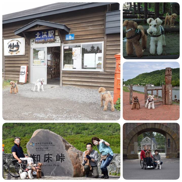 132991ff 3c89 4775 81b4 3dab734f3274 1562258903380