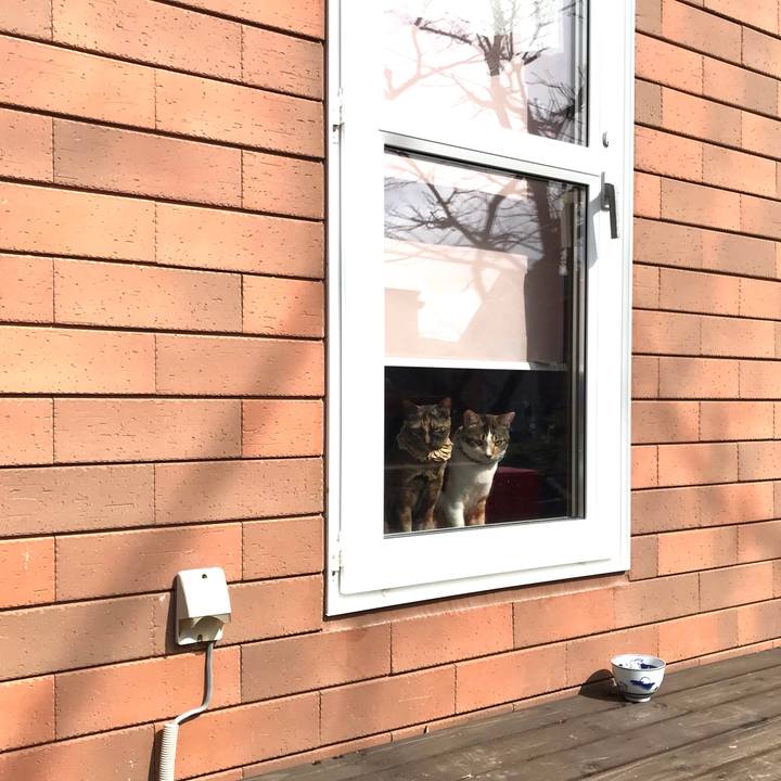 1329a17d 6e45 497b ad04 f1d76e8fdd4a 1650088373074