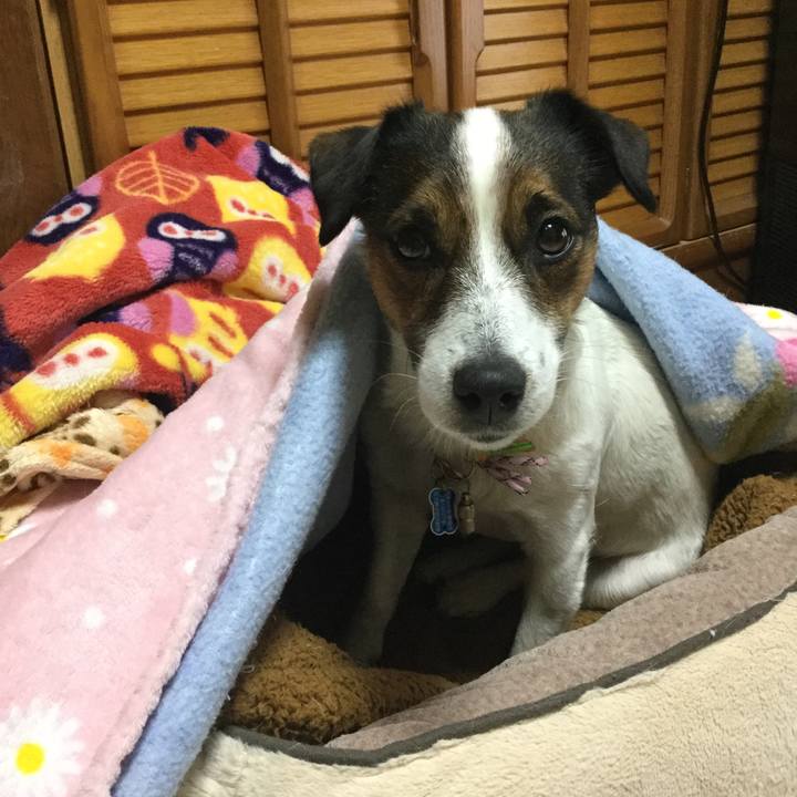 1329a561 86a2 440e 98eb 178d2b159ac5 1548199519234