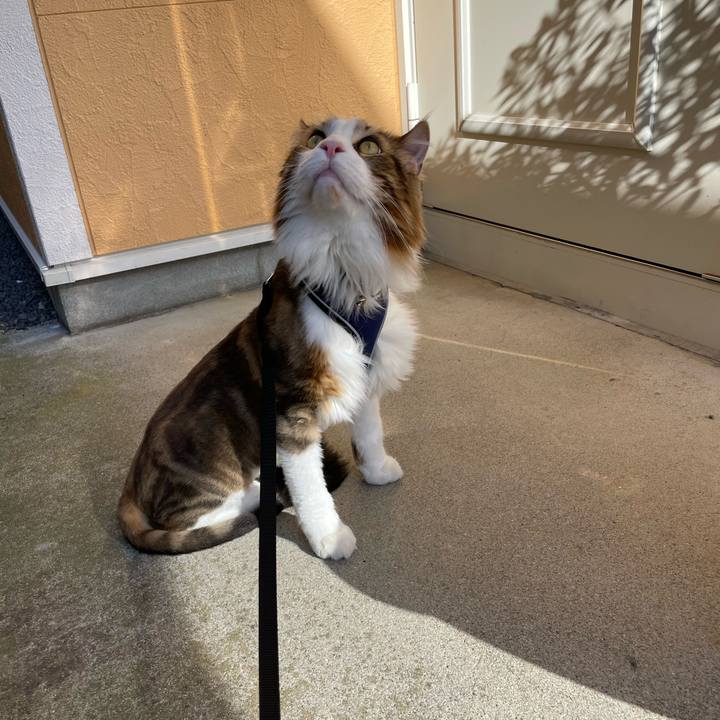 1329b442 ccac 436d bbfe 62987bd3d51d 1660477652833