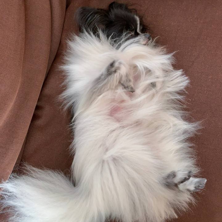 1329bb6e 7956 48f3 99c9 a440f29968e1 1568204171259