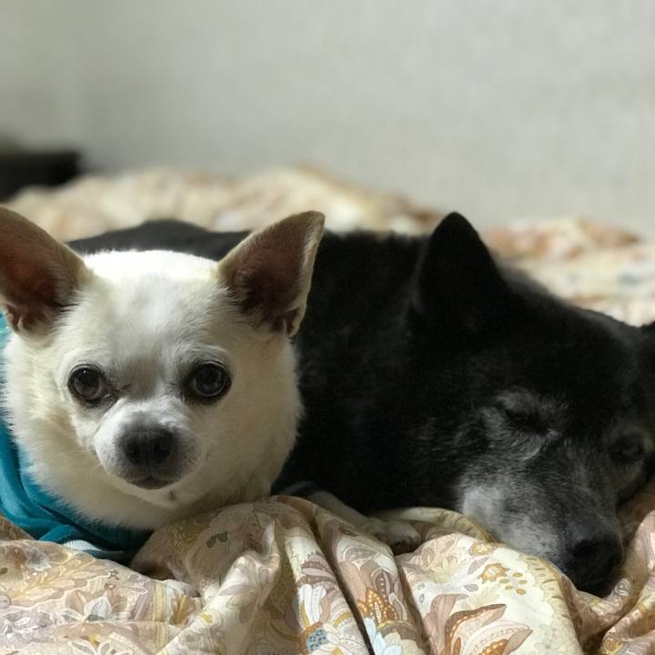 1329df72 b642 413e b16c 058bfaaa331d 1573536669439