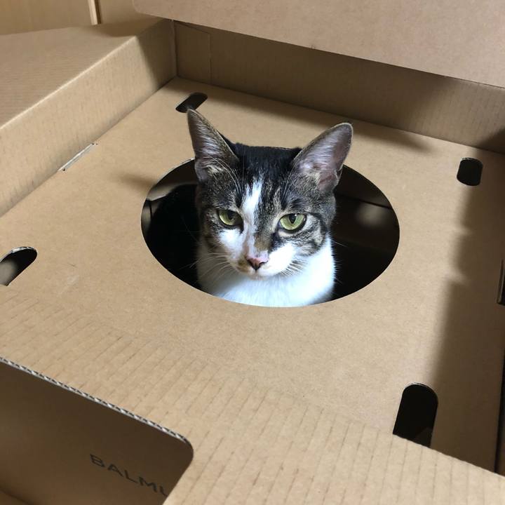 1329df9d 6a11 468f 8789 035744d6d9cc 1531855345002