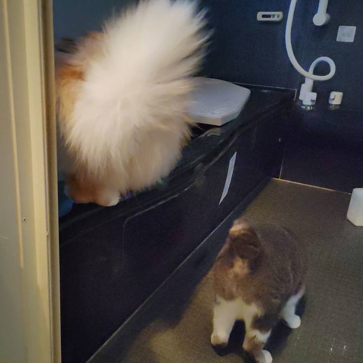 132a0bb6 ec55 437a 912e 982d93fb4c7e 1707863957900