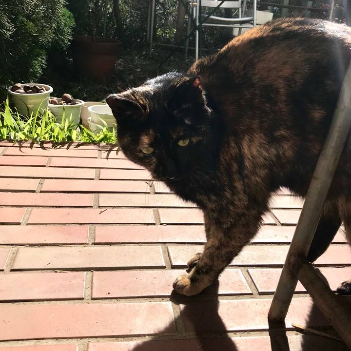 132a0efc 5f6c 433a 8f42 207f3c7a4ec2 1518145556502