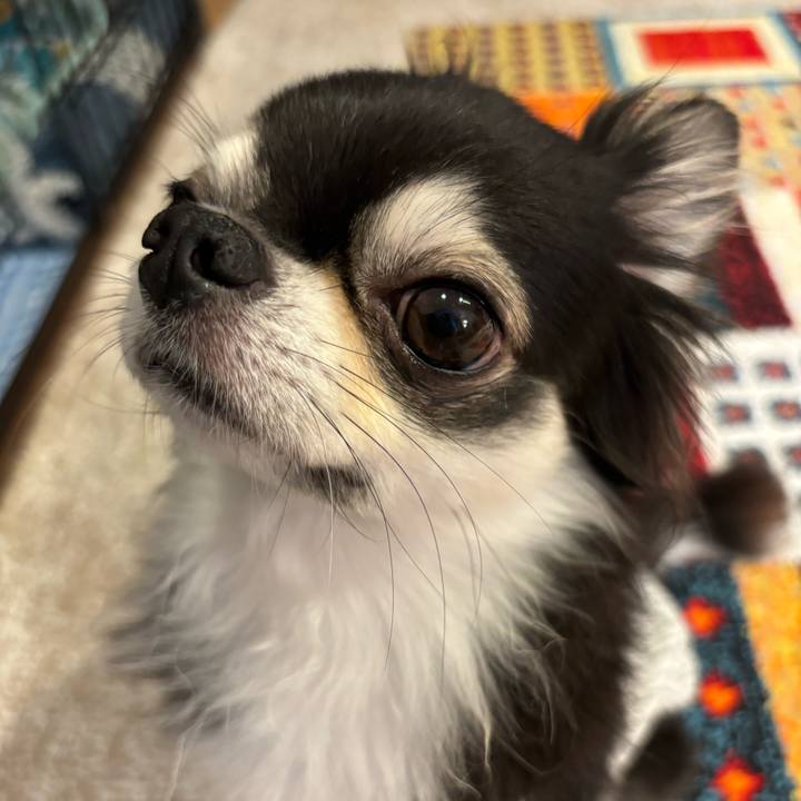 132a56d6 0ade 4436 9e23 584fa9259403 1727020282614