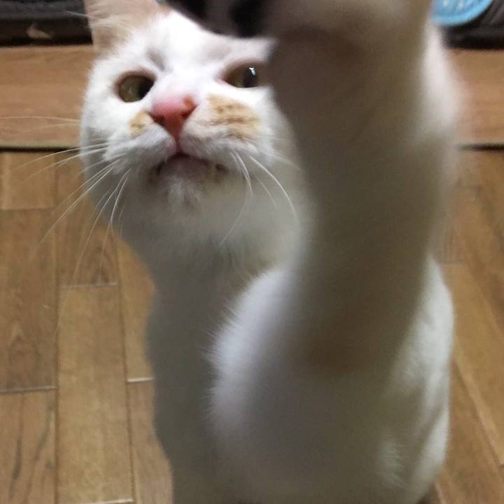 132a61ae 79f1 4dbf bdc6 e006c5e3704b 1517021165013