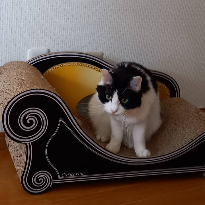 132a7adf 9126 43c0 98e8 659b098c8cf6 1612869676550