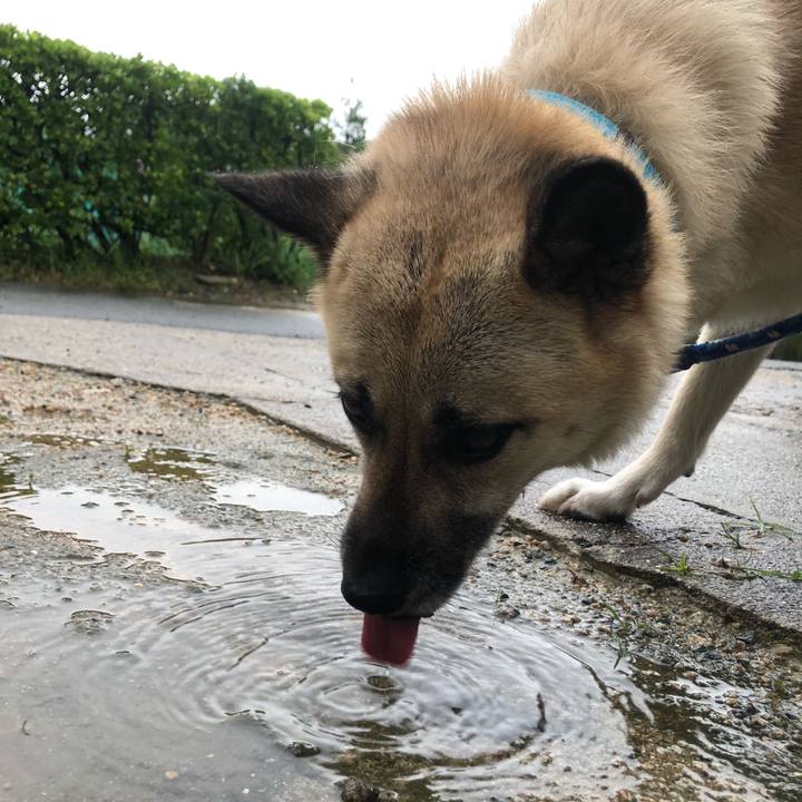 132aabfc 2e1b 4173 8df9 229067cad131 1594120761687