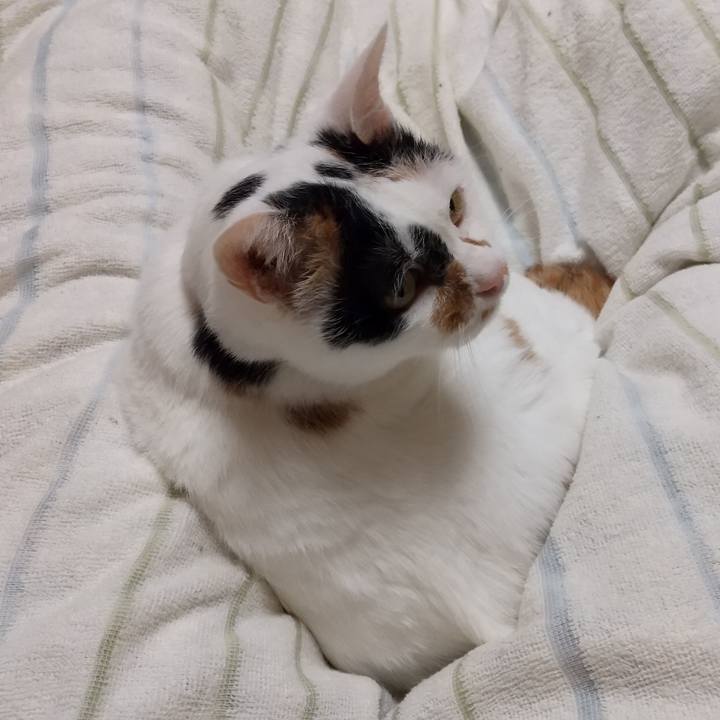 132b0db5 eb6d 4e91 a1b3 42bdff4dc3b2 1628948603796