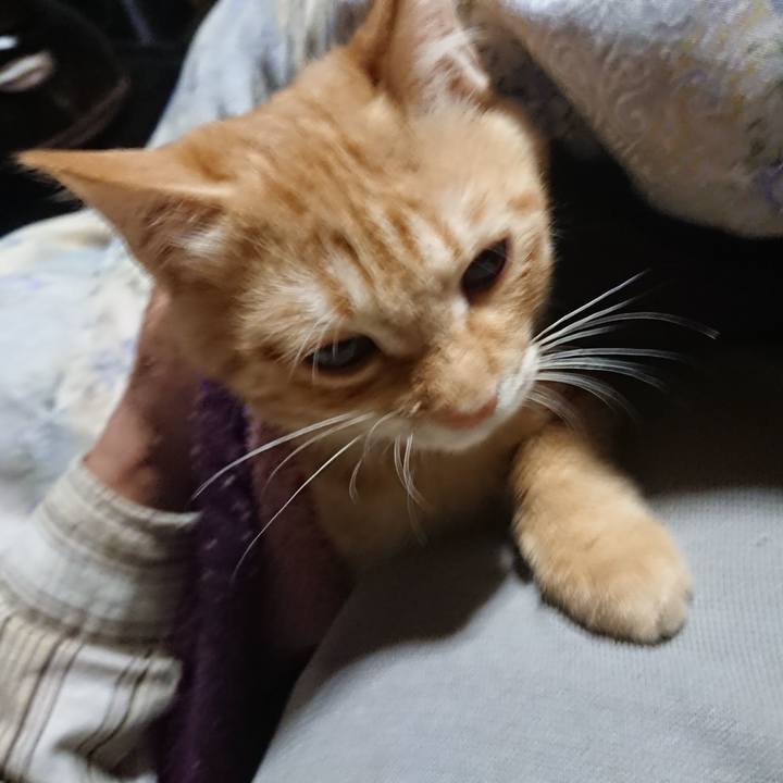 132b1dde 31e8 47c3 971b fc5804350dbe 1633812233396