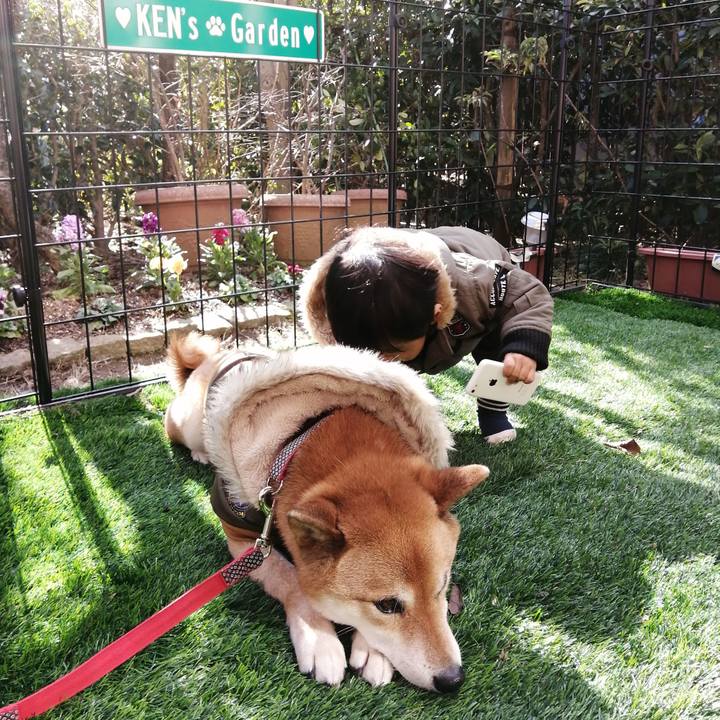 132b3f32 8b10 4220 8157 eff00c8fc2d8 1580553678440