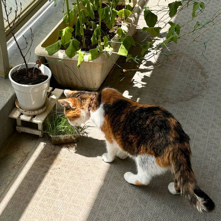 132b44db e084 4223 b431 d76ee9927347 1717818664019