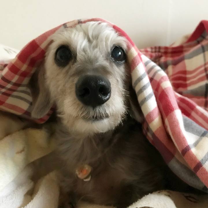 132b49d4 9db8 45cd a441 54696b385e47 1519681899264