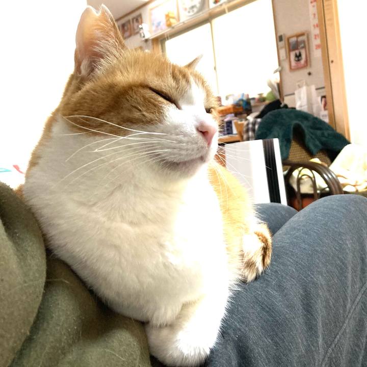 132b611c a123 44d9 8152 9833197c8174 1770608241790