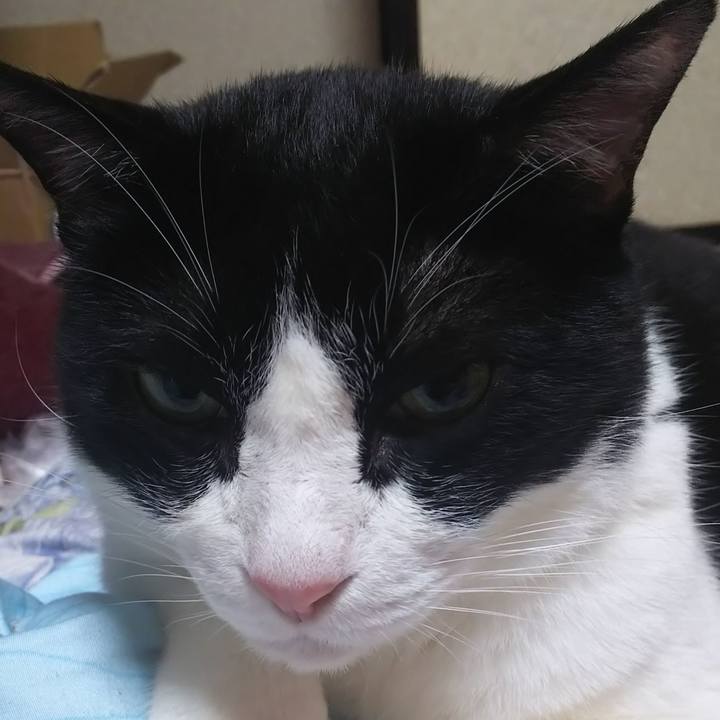 132bd559 f89c 4c25 8bc4 9a05ad93c004 1592714580043