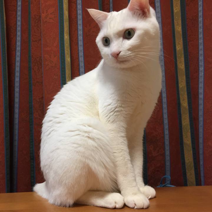 132bde6a 0869 4e8d 929d d951c156320c 1518877892856