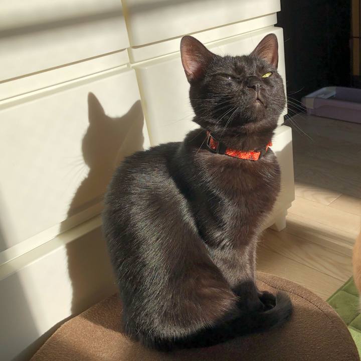 132c173d fd3a 4b9b afa8 865375c8458a 1557397350175