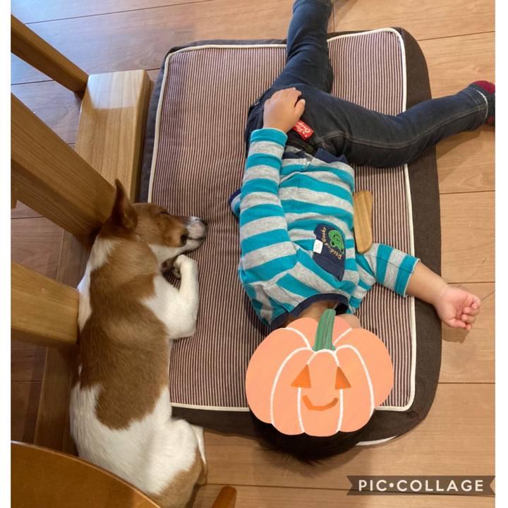 132c21d3 8718 42d7 81f2 293a48d01177 1603708281940