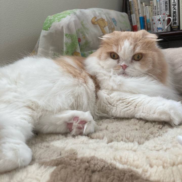 132c28df 1bef 4e71 870e e2dabe804cba 1673756910522