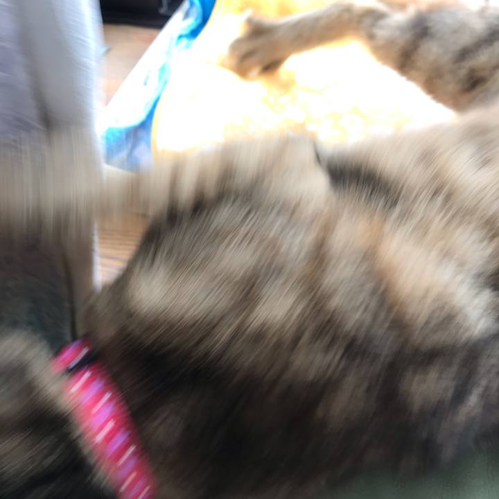 132c70cf 0a48 4458 977e bbbe5c9473b6 1580438620375