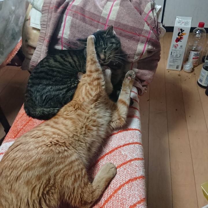 132c7170 6138 4877 ae77 79ef63deff9d 1648520913427