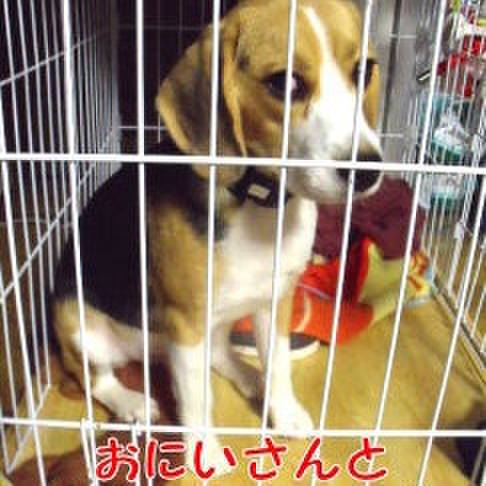 132c71b2 a865 48d4 8e33 3a3480aedb4b 1685746227014