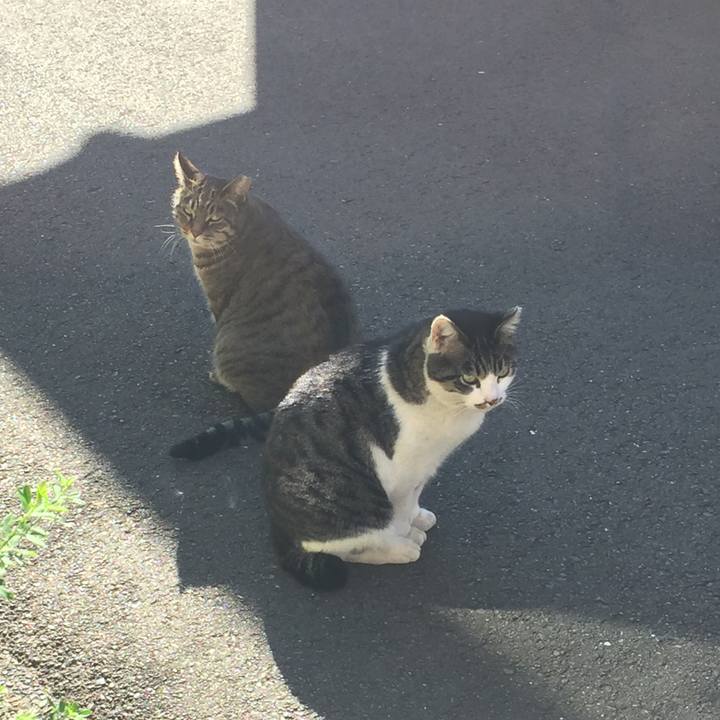 132c942f 9a65 49a6 ac94 ba03236a18cb 1512547013632