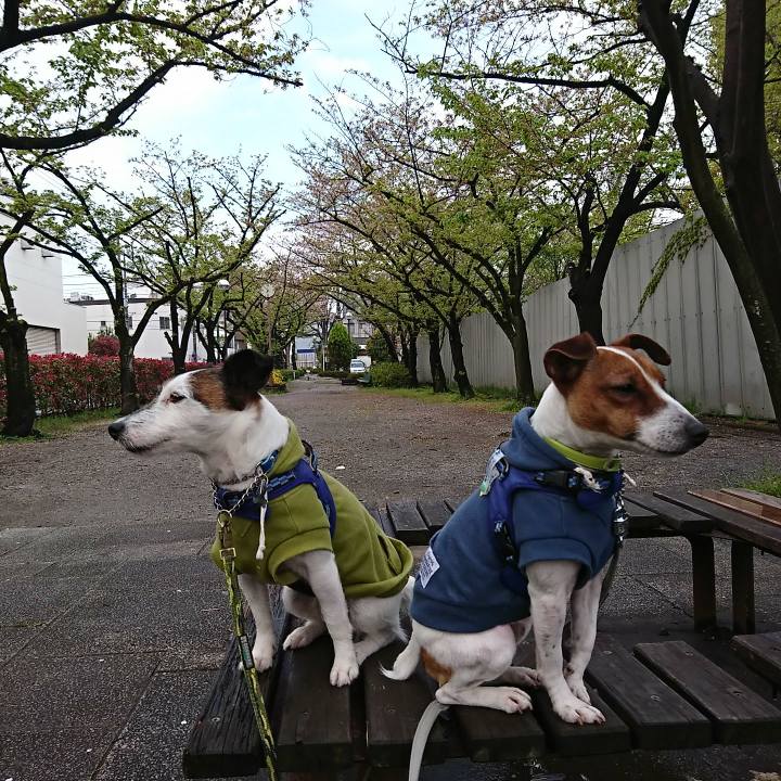 132cc085 22cc 402a b50d 6363c7c565ce 1555280195107