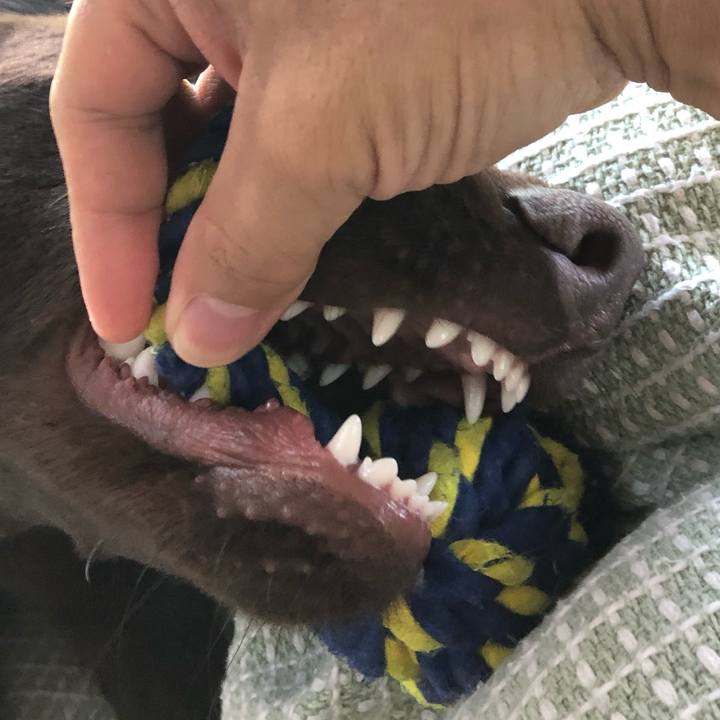 132d508a d01b 4f4c 9a9a 204c172a2a72 1560390299241