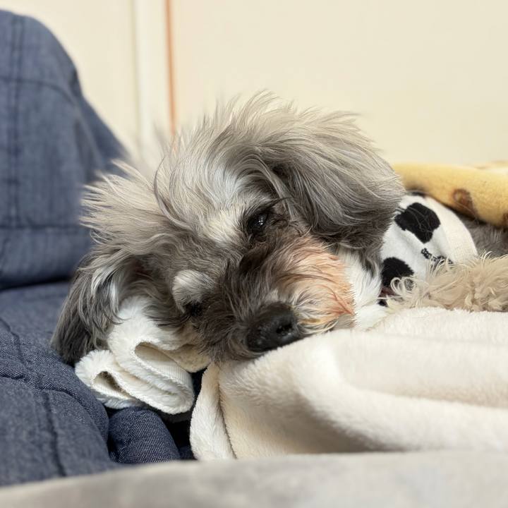 132daa3b c081 4619 b12f 5ba9fd96a5ef 1770702447770