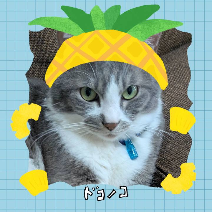 132dee3f 5c63 45f8 bb87 ae03255d171e 1783307128842