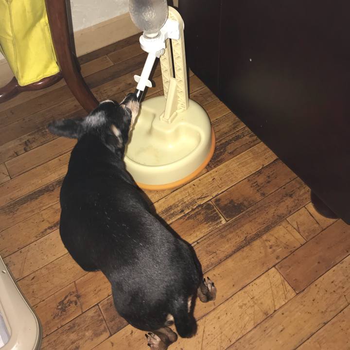 132e3ca1 03b6 49e7 9b91 36f5765bf1d3 1537183644046