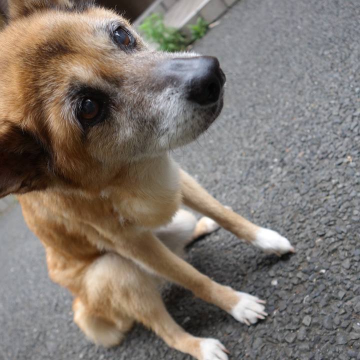 132e4f4e e451 4bf3 8a38 001e22c040d2 1562106091992