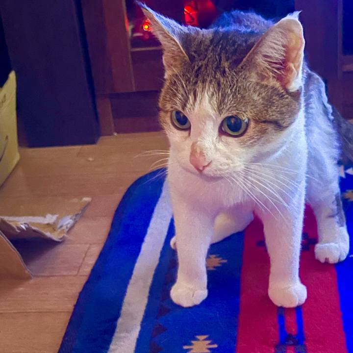 132e5bde 6525 4971 9e14 0c22345650fd 1630961084535